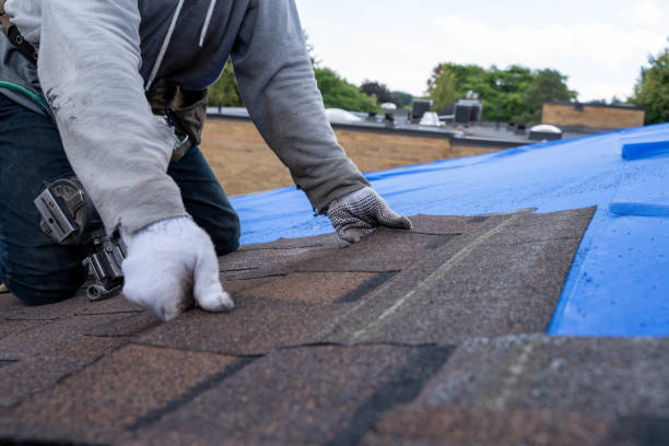 Best Emergency Roof Repair  in Bellefonte, DE